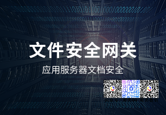 天銳文(wén)件(jiàn)安全網關系統
