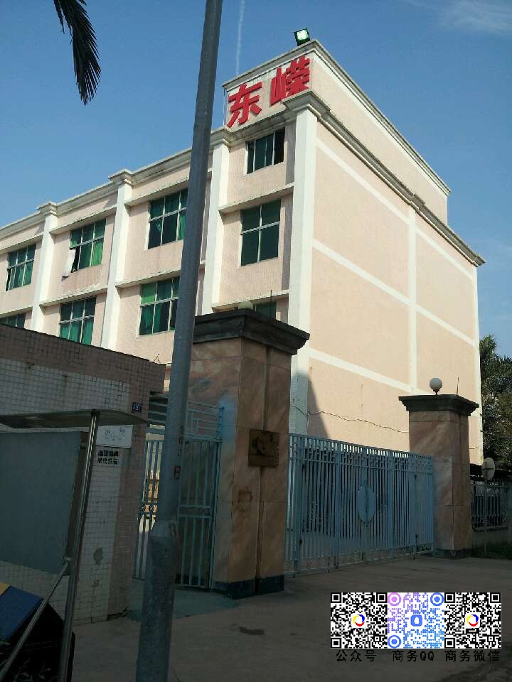 攜手東嵘電子科技(惠州)有(yǒu)限公司